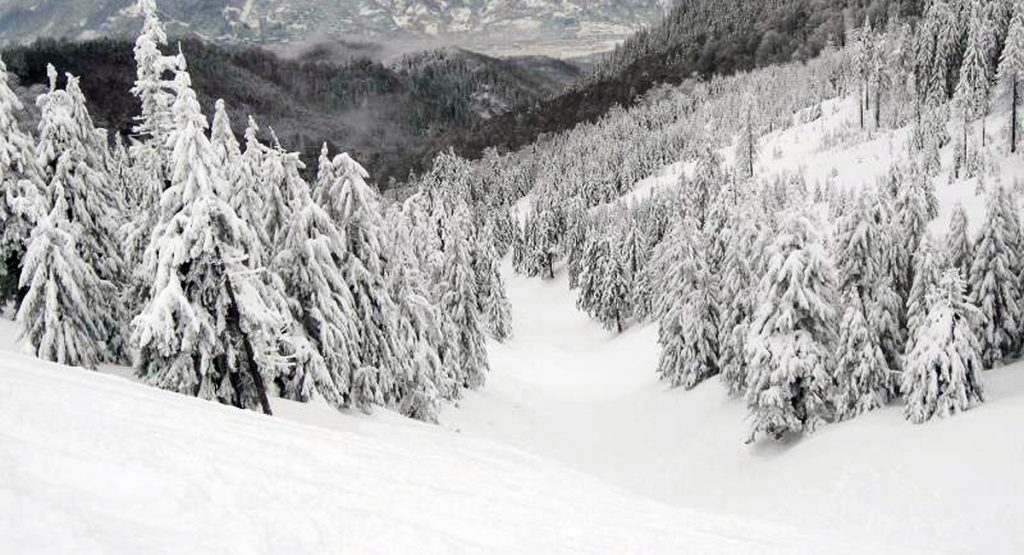 partie ski straja romania