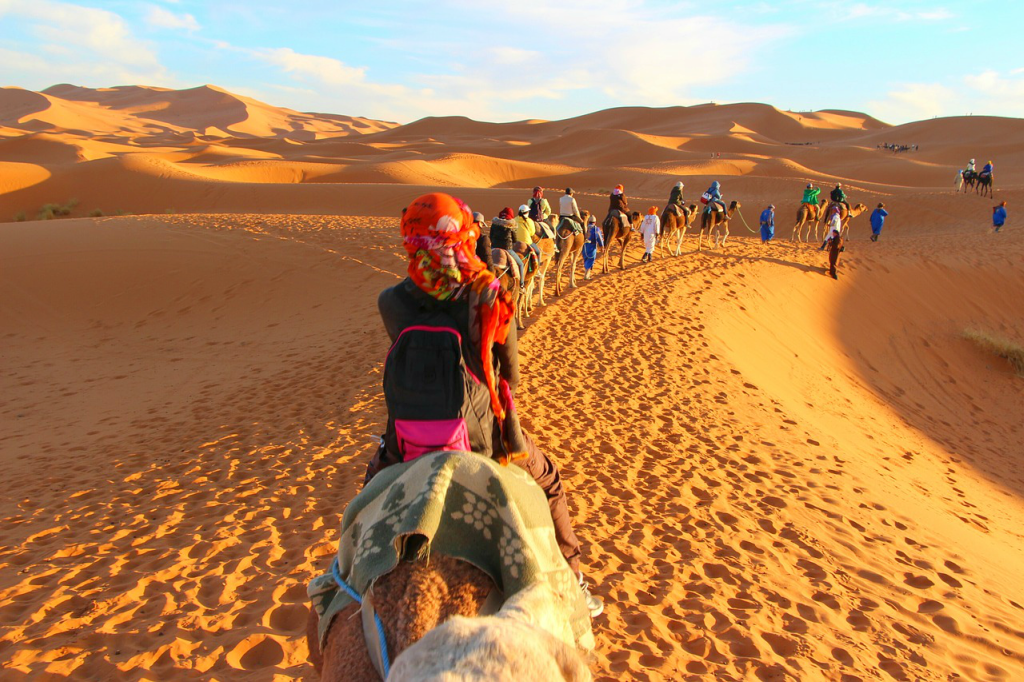 Sahara Maroc