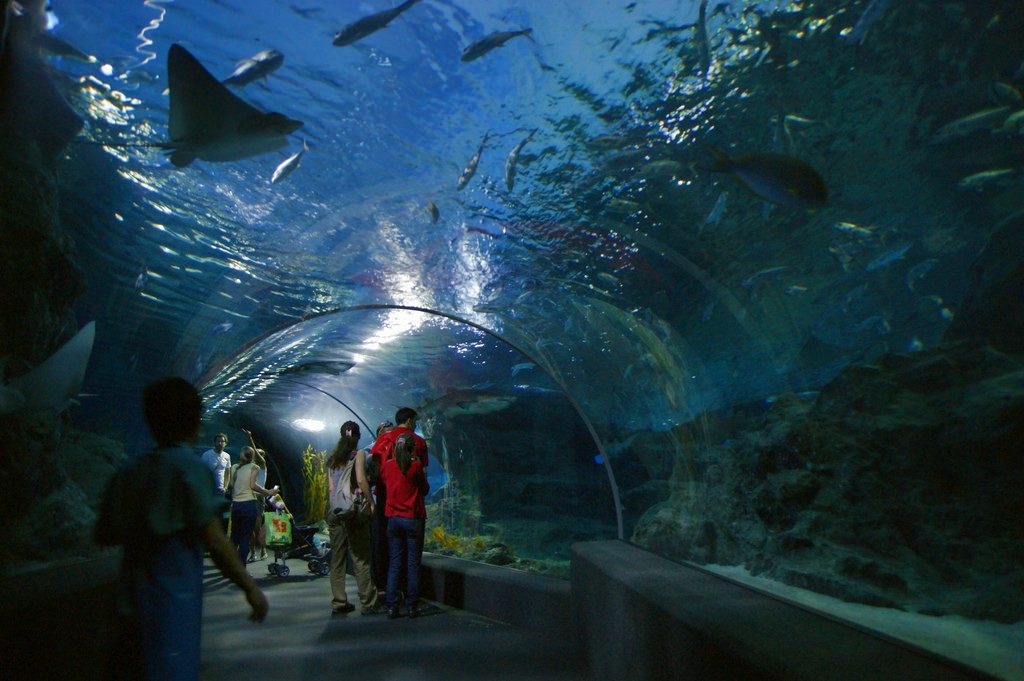 Siam Ocean World - Thailanda 2017