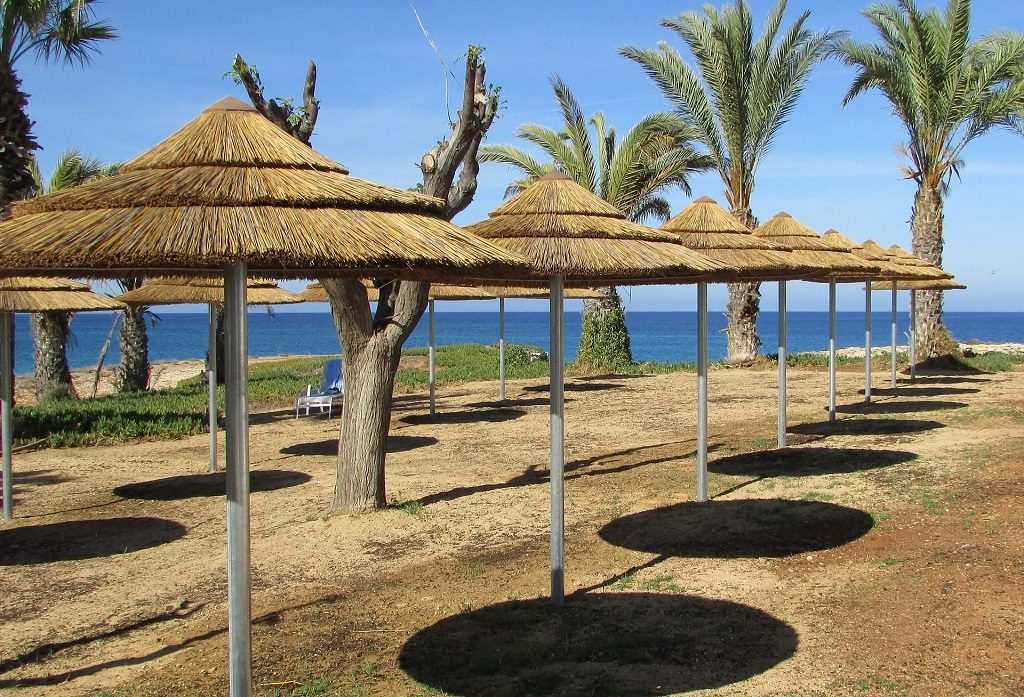 Cipru - umbrelute si palmieri