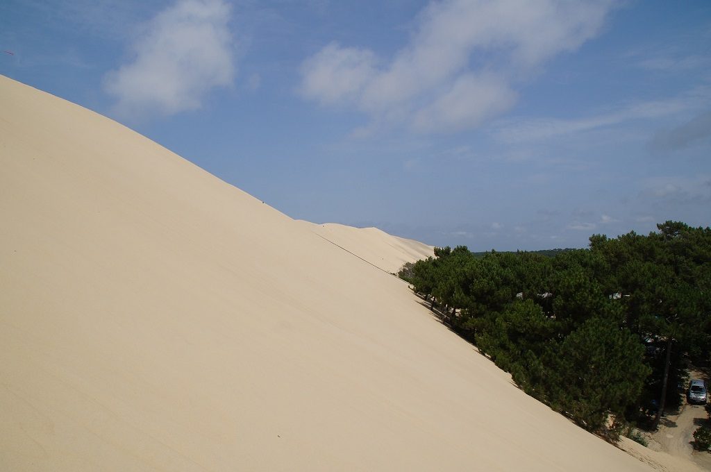 Dune du Pilat - imagine cu padure