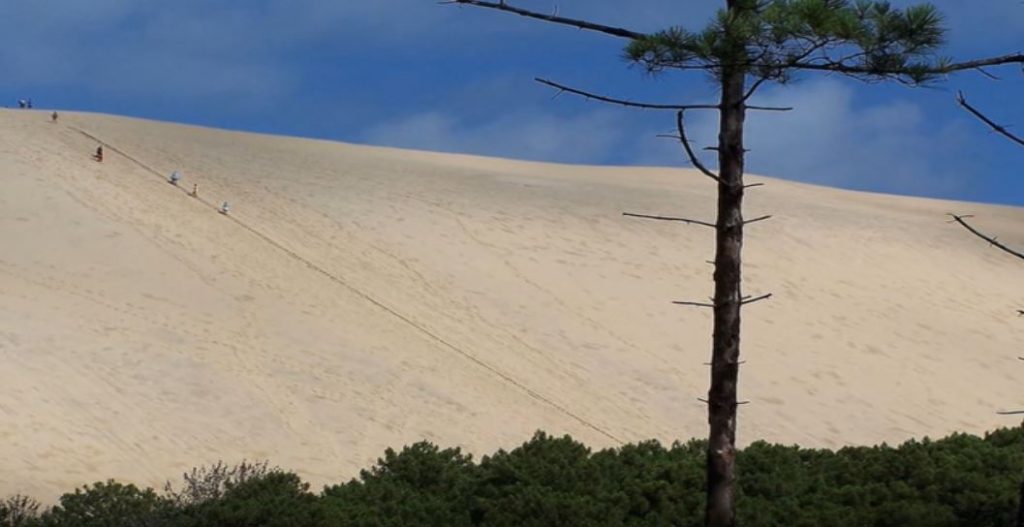 Dune du Pilat, vedere de la baza