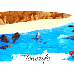 Vacanta in Tenerife