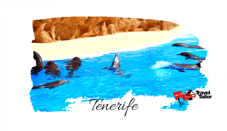 Vacanta in Tenerife
