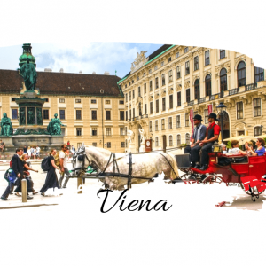 Top obiective turistice Viena si atractii pentru toate varstele