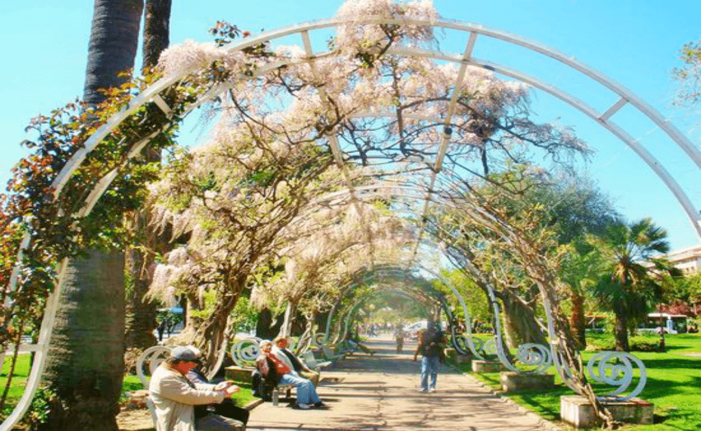 Obiective turistice Nisa - Jardin Albert I