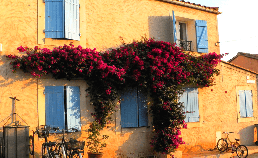 Obiective turistice Provence