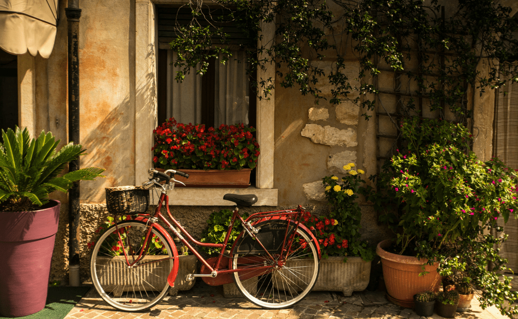 Obiective turistice Provence - Gordes