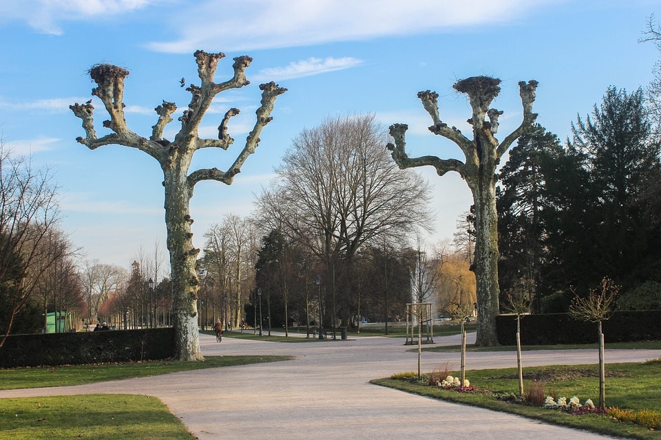 Parc de l'orangerie - obiective turistice Strasbourg