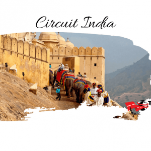 Circuit INDIA – TRIUNGHIUL DE AUR SI SAFARI RANTHAMBORE 2024