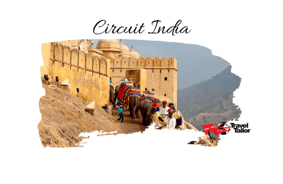 Circuit INDIA – TRIUNGHIUL DE AUR SI SAFARI RANTHAMBORE 2024