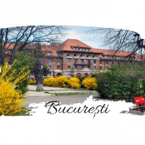 La pas prin Bucuresti (II) –  Soseaua Kisseleff intre Str Docentilor si Str Monetariei