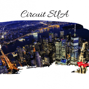 SUA – Circuit New York