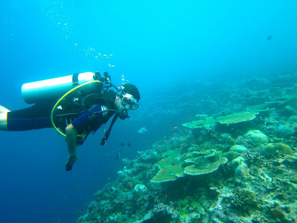 Scuba diving Maldive
