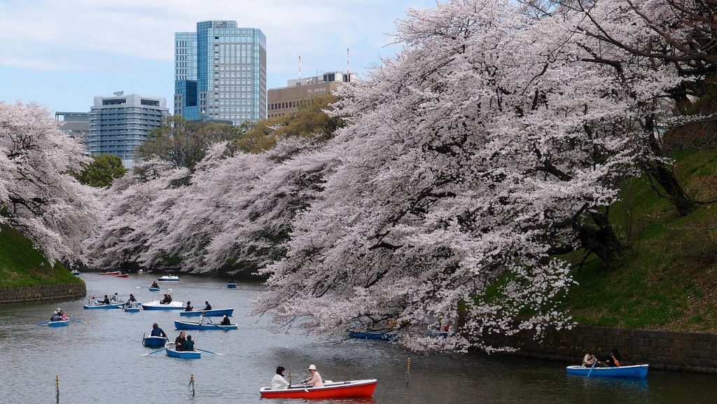 Turisti in Parcul din Tokyo