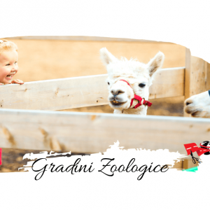 Top 7 gradini zoologice Europa