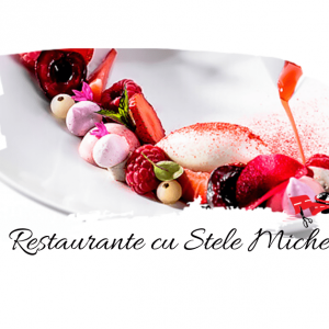 Top 10 Restaurante cu stele Michelin din Europa