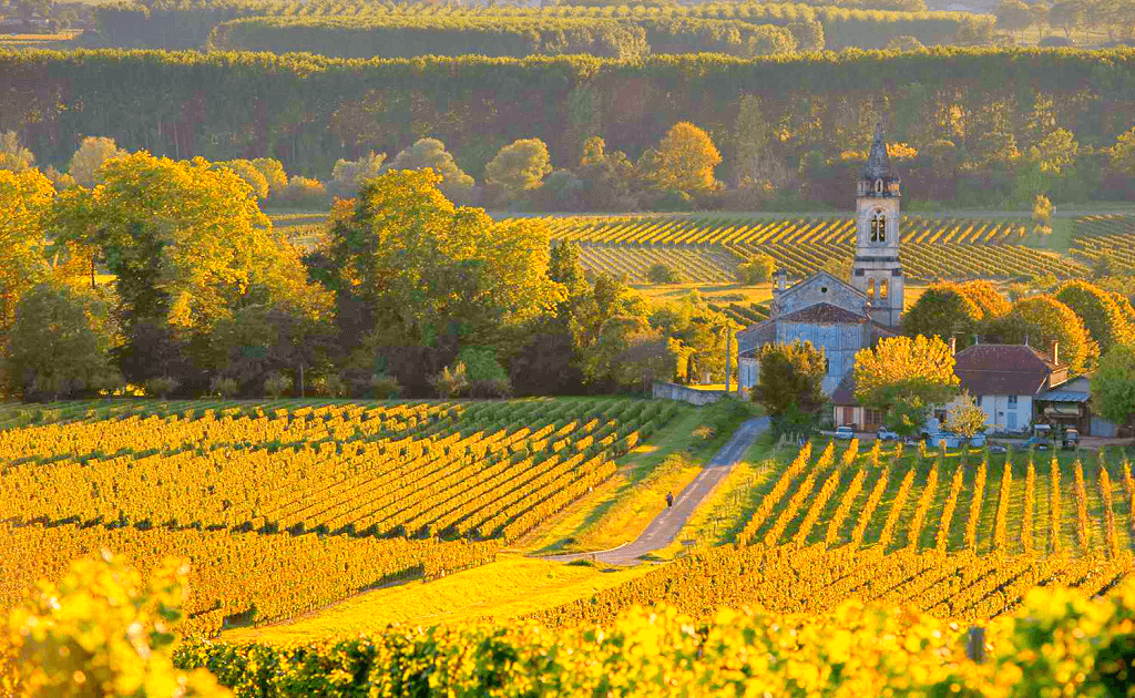 Obiective turistice Bordeaux - Saint Emilion