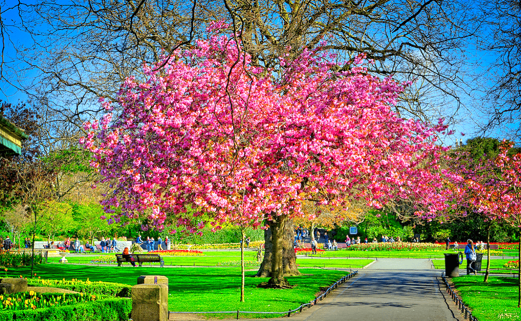 Obiective turistice Dublin - Parcul St. Stephen