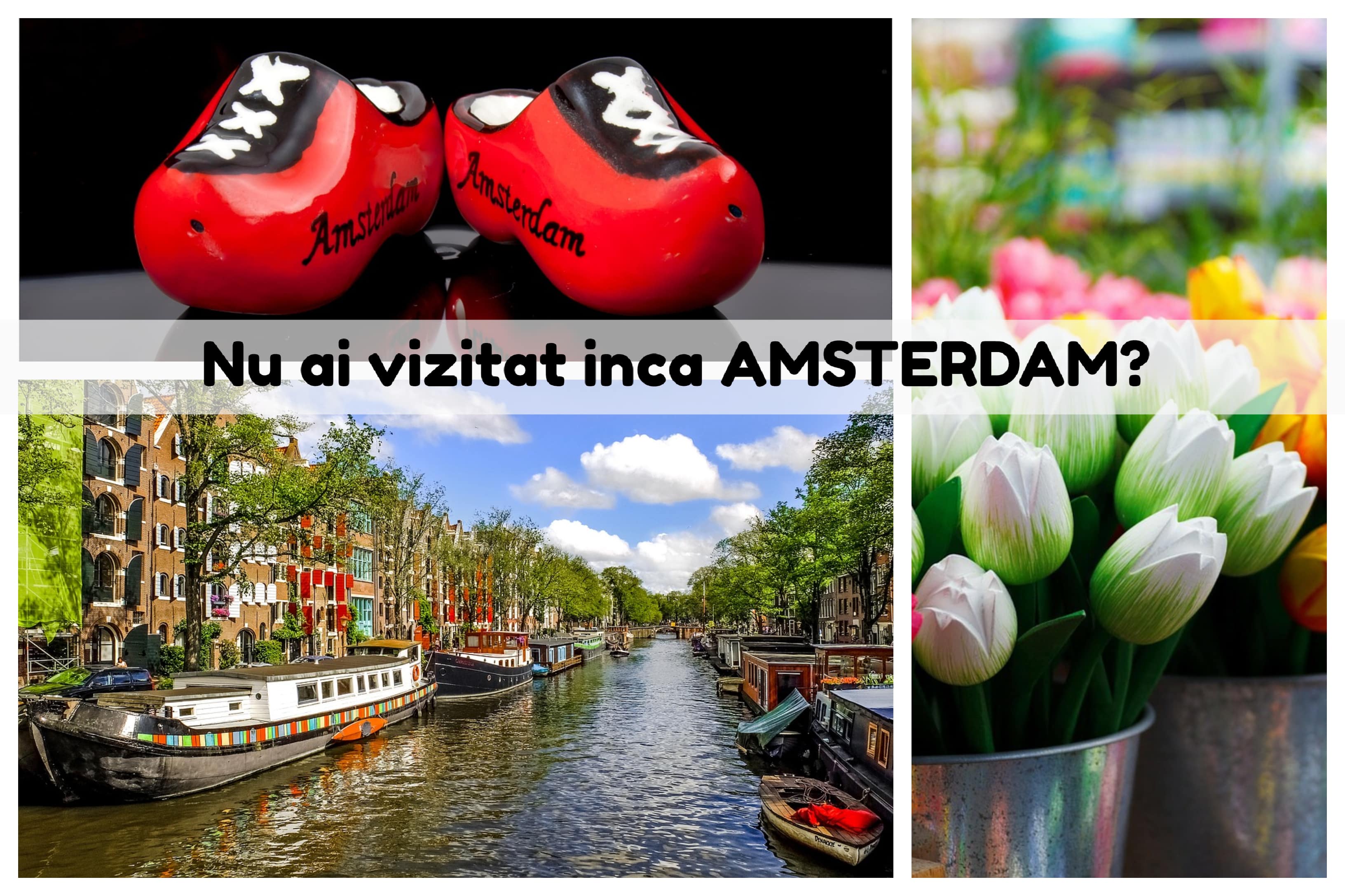 Oferta KLM Amsterdam - imagini din Amsterdam intr-un city break cu KLM