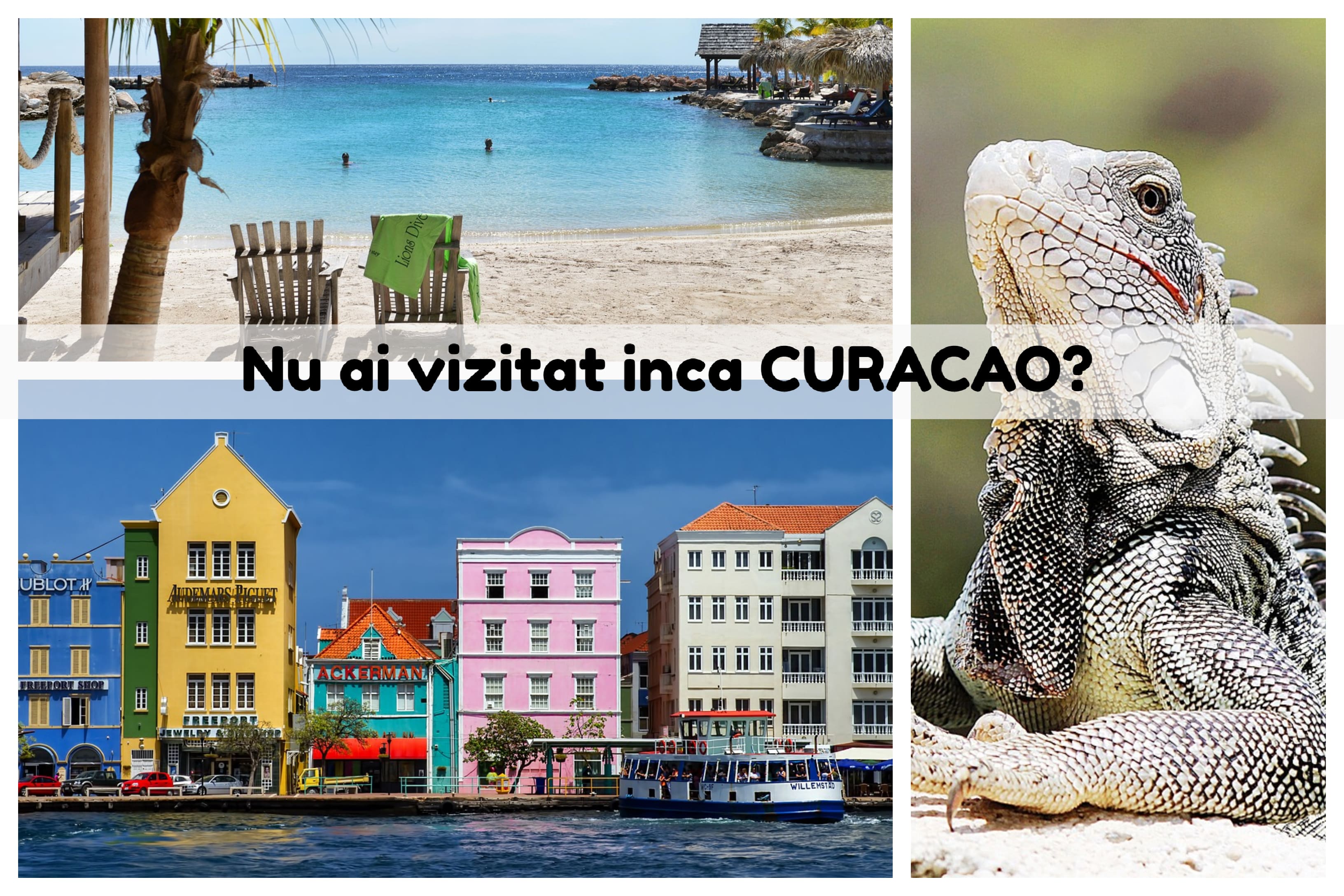 Curacao - imagini din cadrul unui sejur intr-o oferta KLM