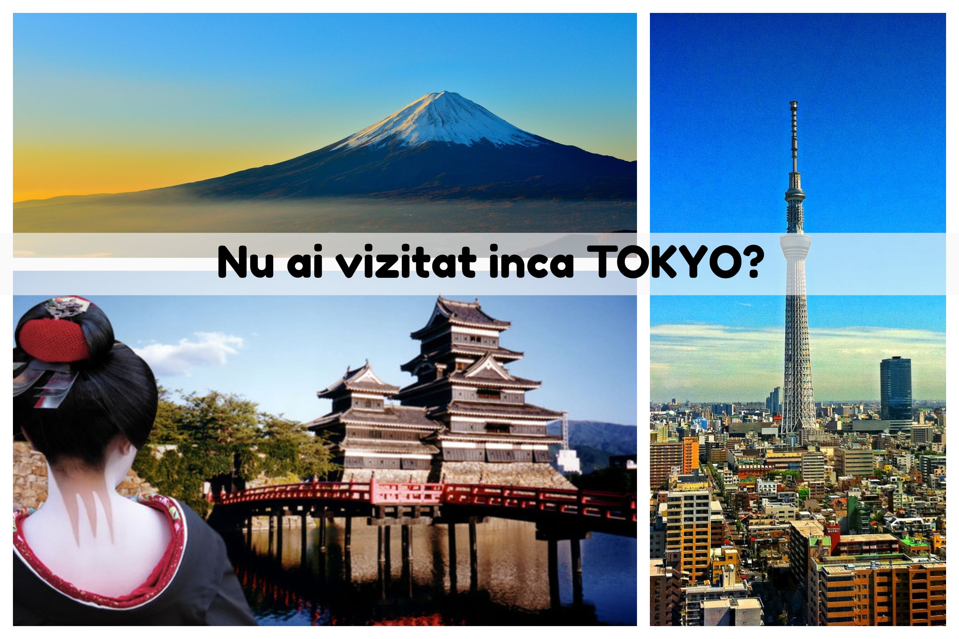 Imagini din Tokyo dupa un zbor cu KLM